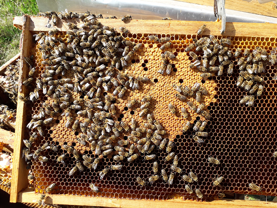 Što smo radili u ožujku